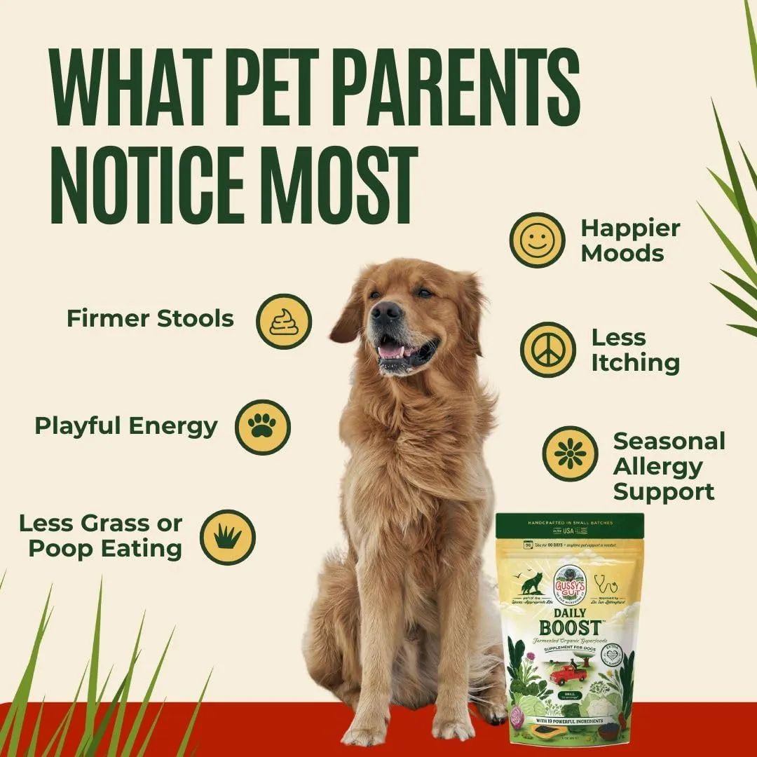 Gussy's Gut Boost Fermented Prebiotic & Probiotics for Dogs Gut Health