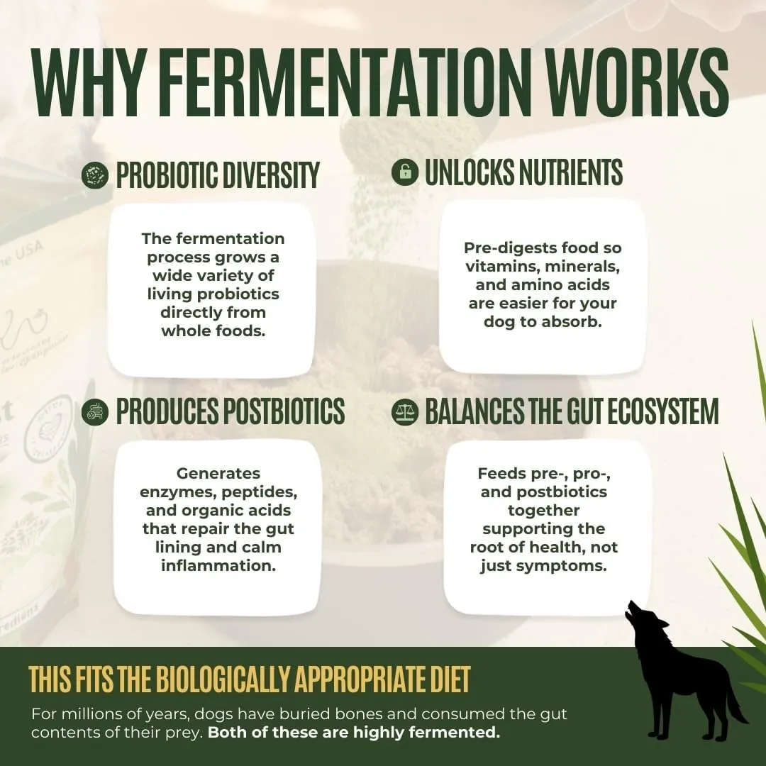 Gussy's Gut Boost Fermented Prebiotic & Probiotics for Dogs Gut Health